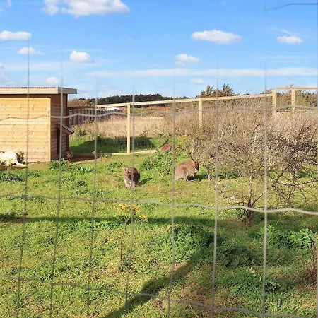 Pretty In Σπίτι διακοπών Løkken