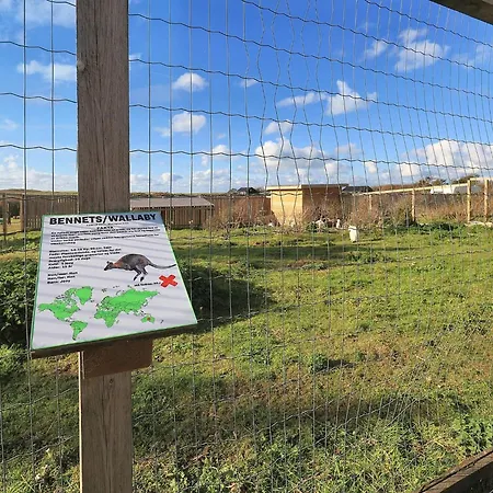 Pretty In Σπίτι διακοπών Løkken