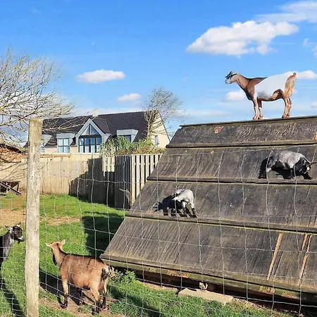 Pretty In Σπίτι διακοπών Løkken