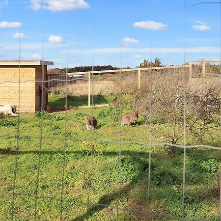 Pretty In Σπίτι διακοπών Løkken