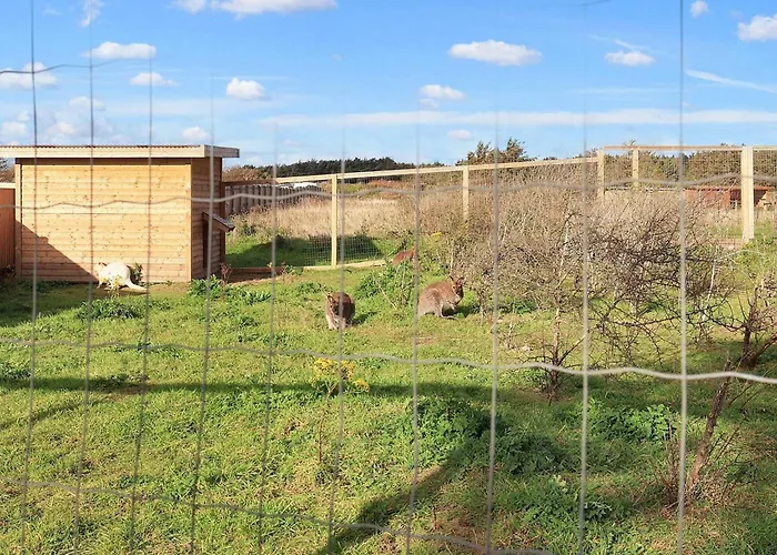 Pretty In Vakantiehuis Løkken